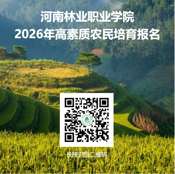 23ead82959c04dbf97f626c675bf70c2.png