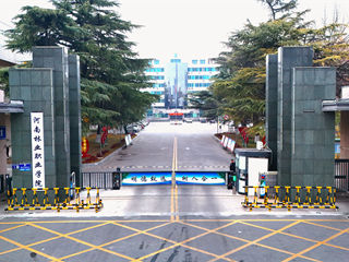 校门