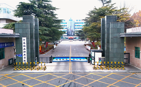 校门