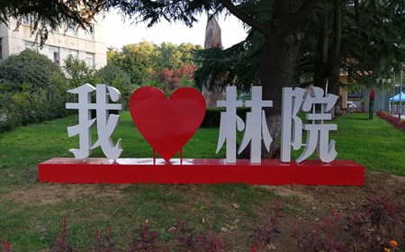 林院风光