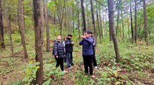 把课堂搬进森林，把数据带回云端——生态工程学院2024级林业类专业综合实习圆满结束